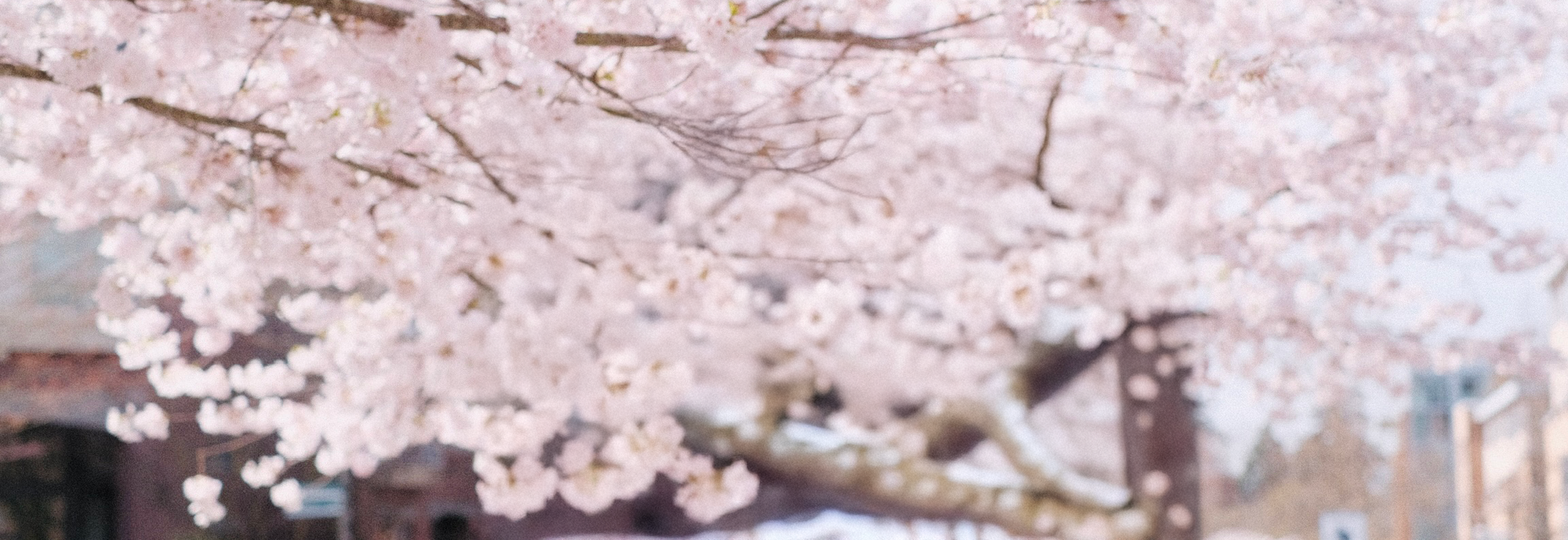 Hero image background