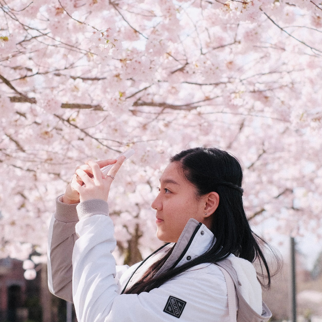 Crystal Cheung