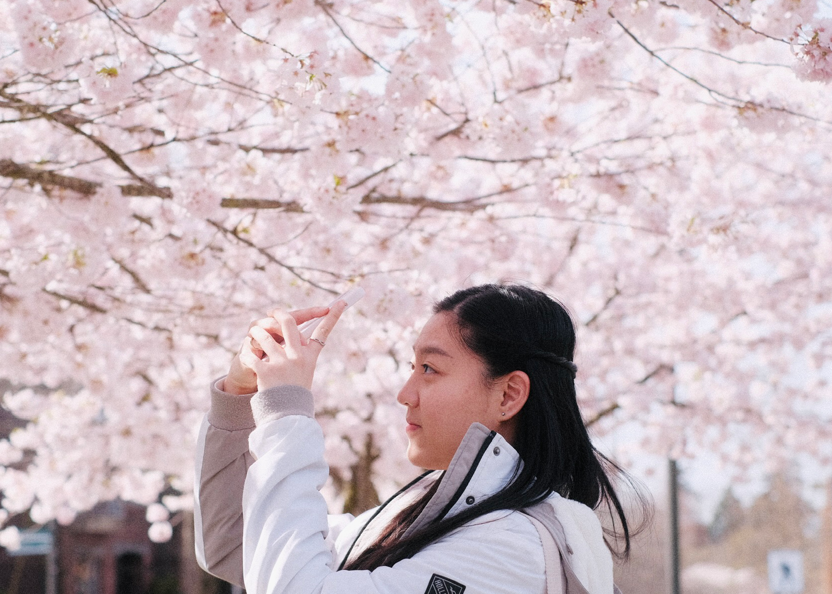 Crystal Cheung